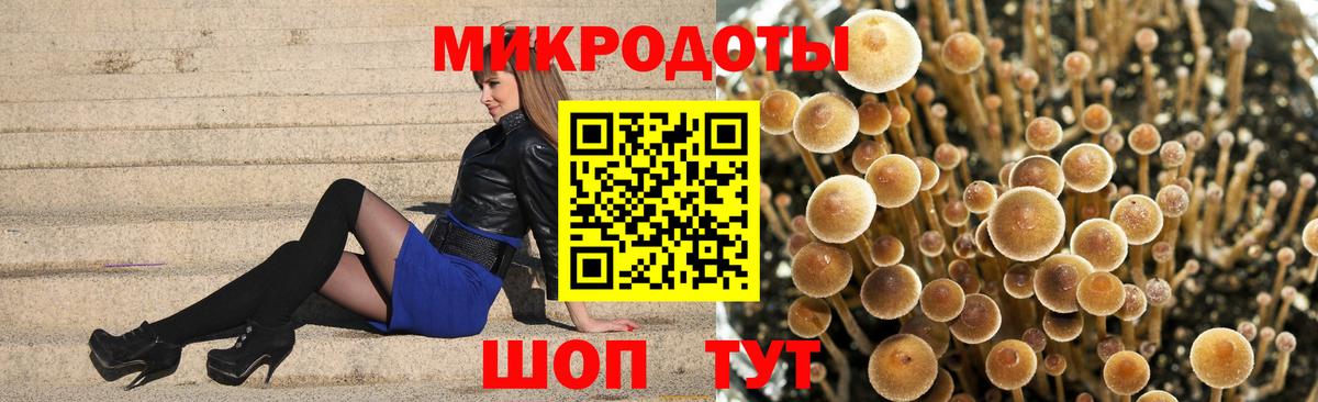 Псилоцибиновые грибы GOLDEN TEACHER Сертолово